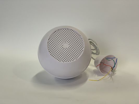 System głośników 2,5w-5w-10w Pa Wewnętrzny głośnik wiszący Pa do szkoły